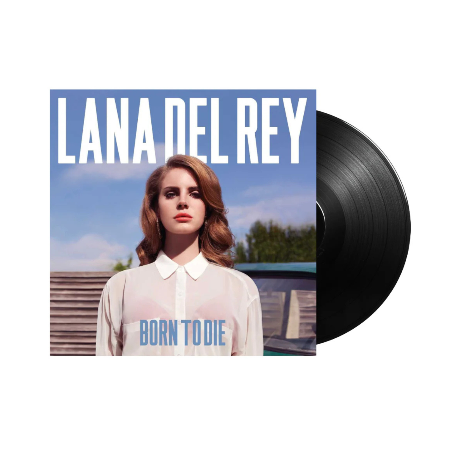 Born To Die vinyl - Lana Del Rey LP