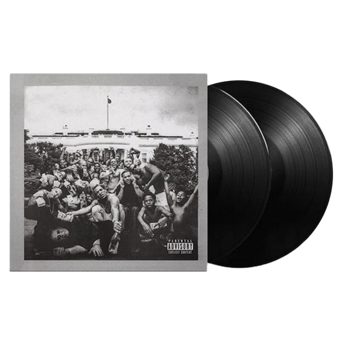 To Pimp A Butterfly vinyl - Kendrick Lamar 2LP