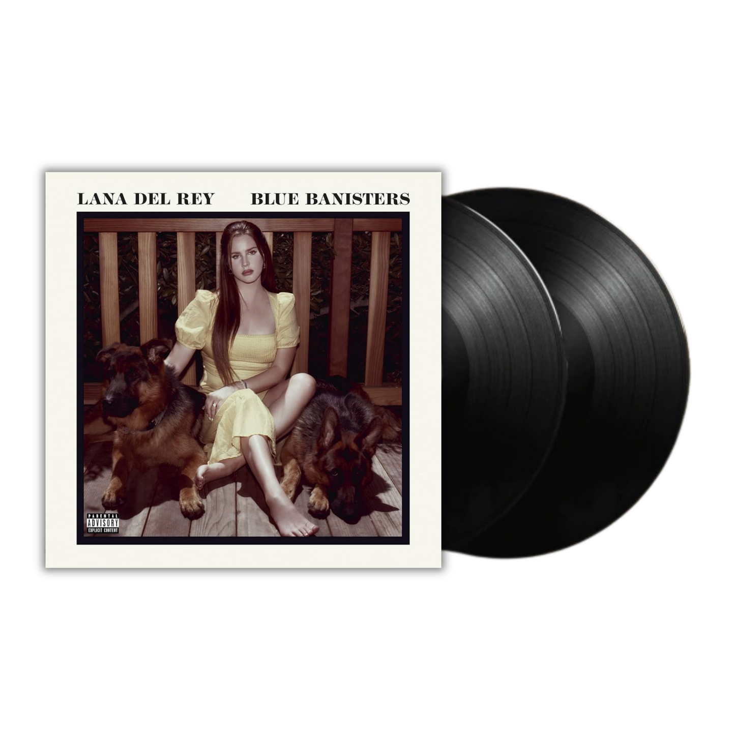 Blue Banisters vinyl - Lana Del Rey 2LP
